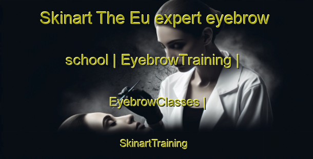 Skinart The Eu expert eyebrow school | EyebrowTraining | EyebrowClasses | SkinartTraining-France
